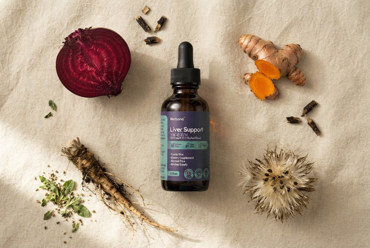 How Liver Detox Actually Works: Phase I and Phase II Explained
