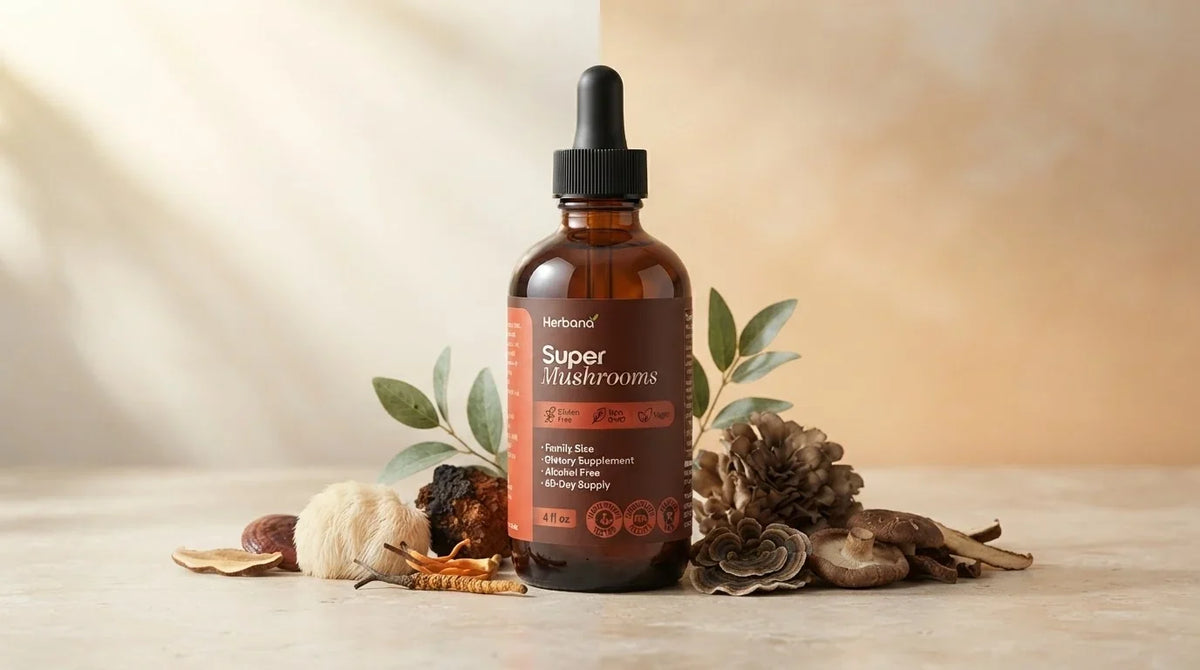 When to Take Lion's Mane, Cordyceps and Reishi