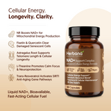 NAD+ Support Complex