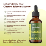 Dandelion Root