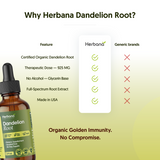 Dandelion Root