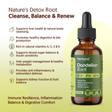 Dandelion Root