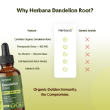Dandelion Root