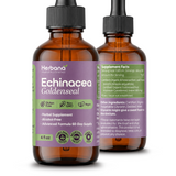 Echinacea and Goldenseal Liquid Extract