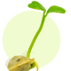 GMO-Free