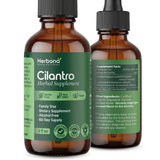 Cilantro