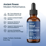 Shilajit