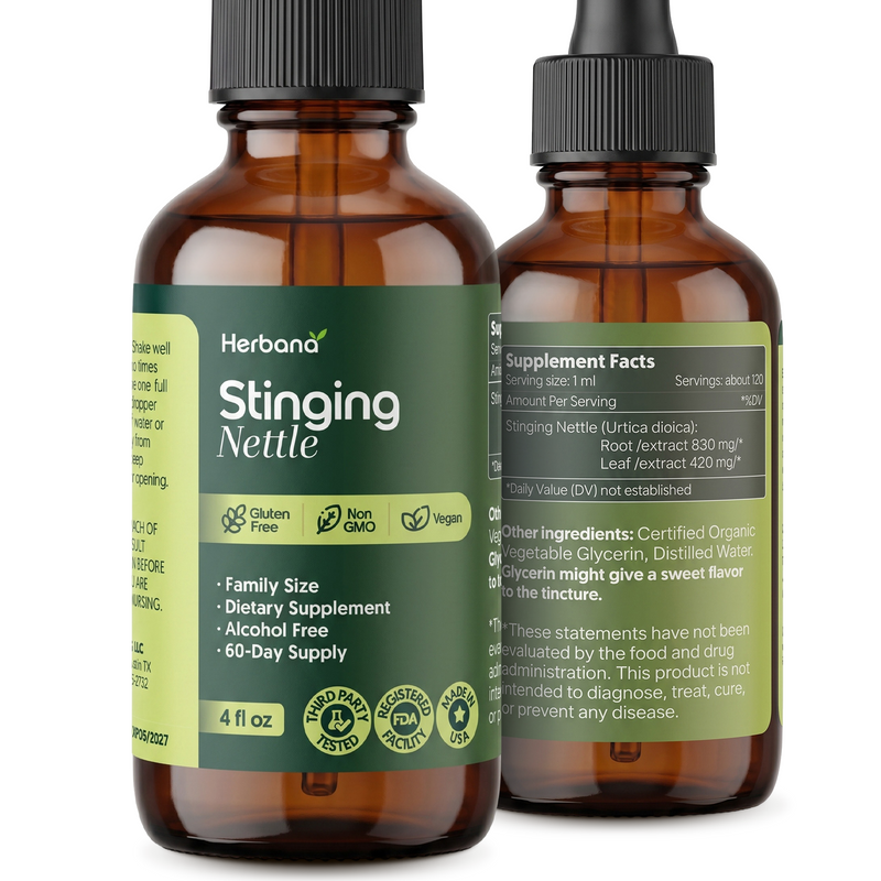 Stinging Nettle