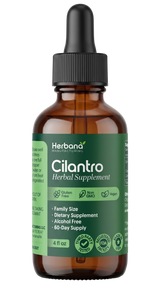 Cilantro