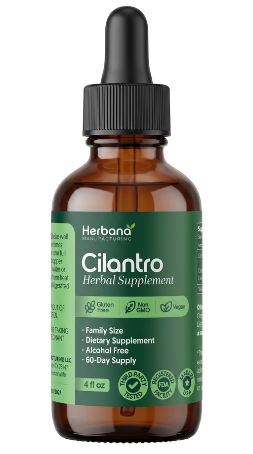 Cilantro